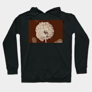 Close-up of  Allium Flower 4 Hoodie